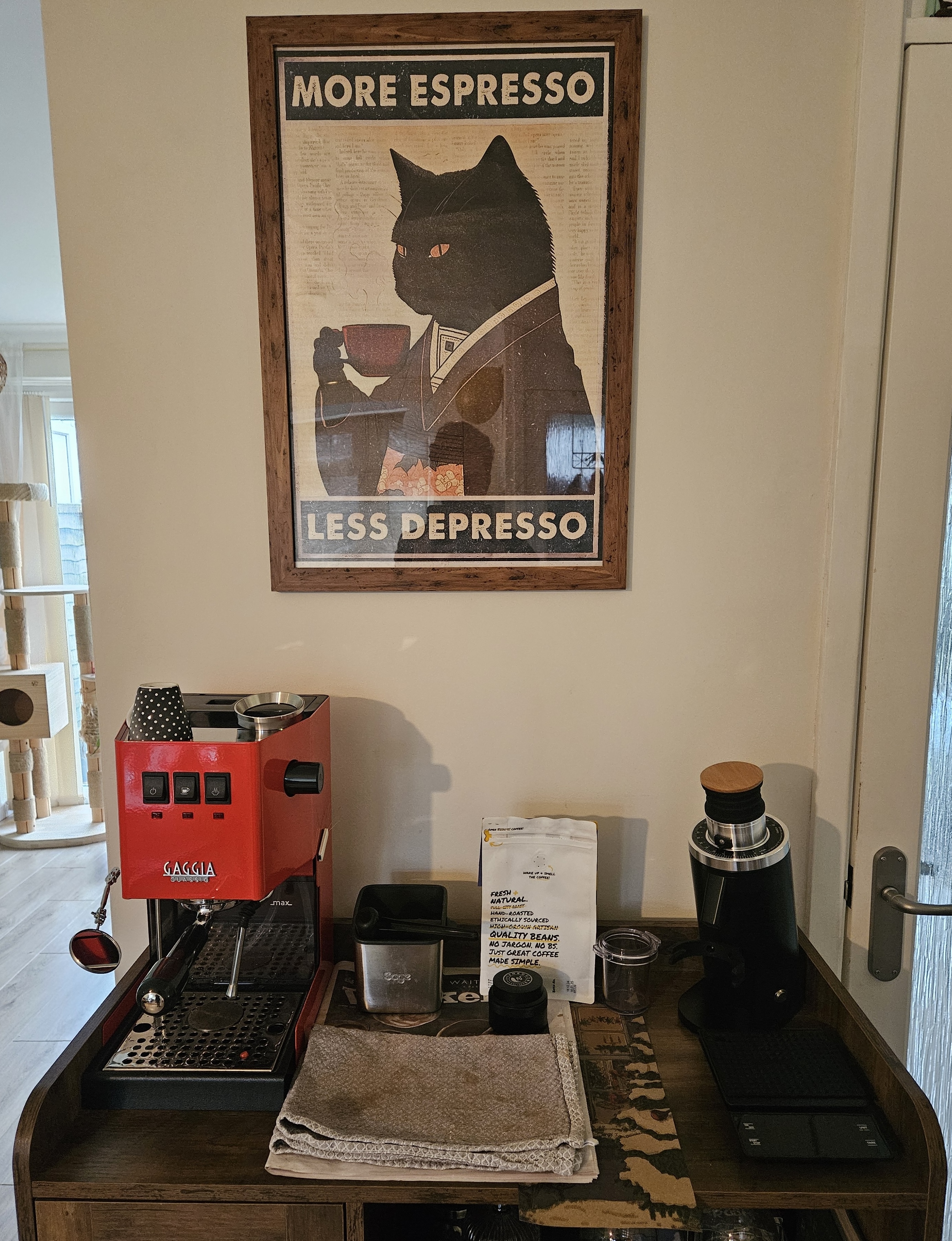 Gaggia Classic E24 espresso machine and DF54 grinder